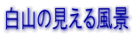 ���R�̌����镗�i