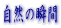 ���R�̏u��
